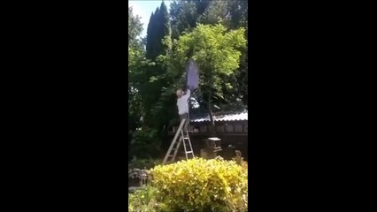 Quand tu finis la tête dans le nid de guêpe... sale journée