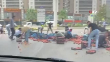 Kamyonetten dökülen şeftalileri toplamak için seferber oldular