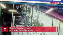 Sokak kedisine terlikle şiddet