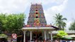 Liger Team Visits Peddamma Thalli Temple In Hyderabad | Vijay Deverakonda | Puri Jagannadh | V6