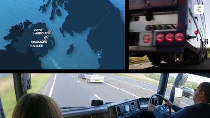 "Un bon voyage annonce une bonne compétition" : Les chevaux chouchoutés pendant les longs trajets