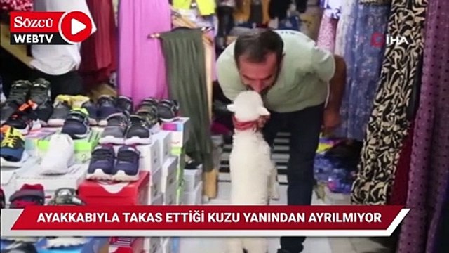 Bir çift ayakkabıyla takas ettiği kuzu yanından ayrılmıyor