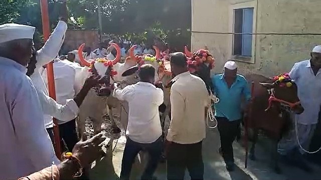 अलवाई येथे बैल पोळा सन उत्साहात साजरा करण्यात आला#alwai#bhalki
