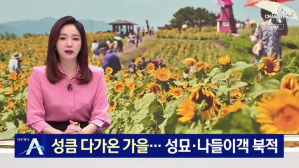 성큼 다가온 가을…성묘·나들이객 북적