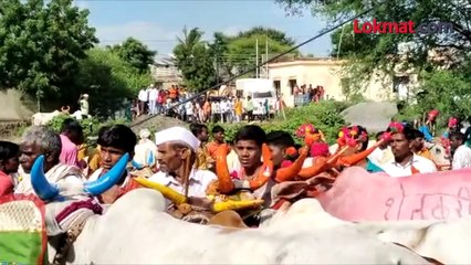 या ' गावात साजरा होतो सामाजिक ऐक्याचा पोळा