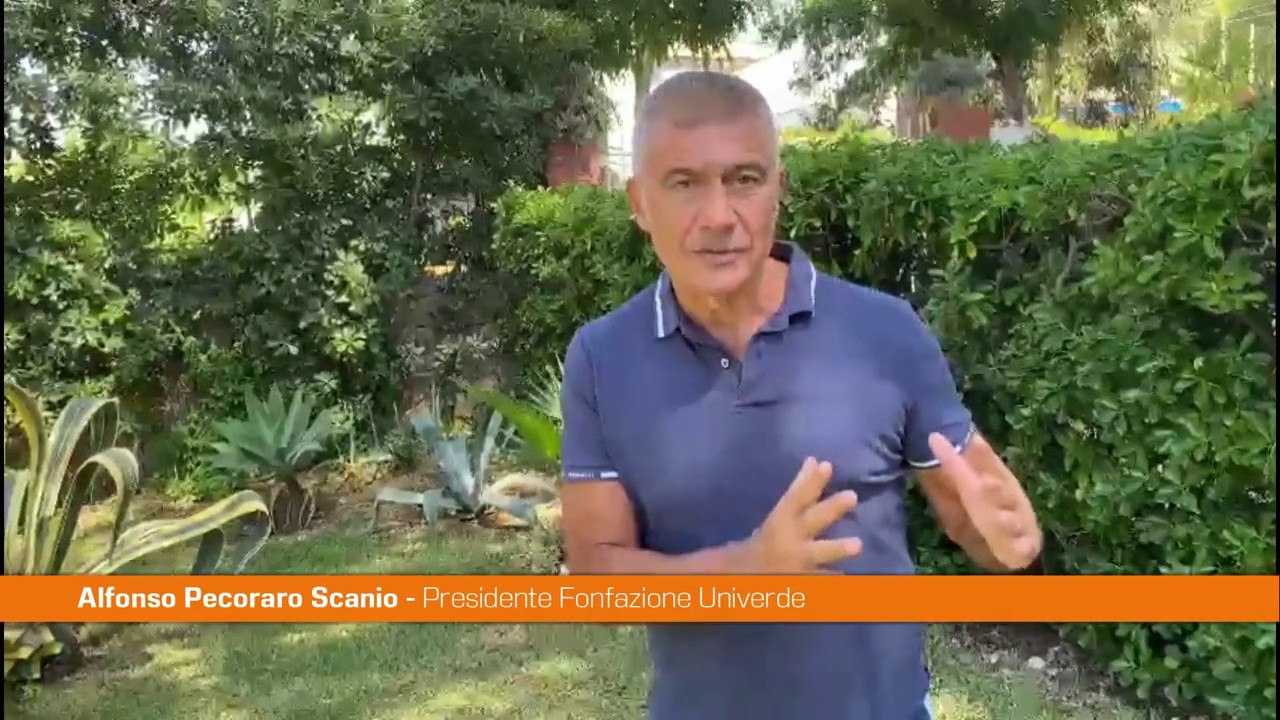 Pecoraro Scanio “Da Calenda attacchi patetici al governo Prodi