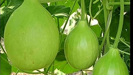 प्रेगनेंसी में आपको भी ये सपने आते है तो पक्का लड़का होगा | Gender prediction sign | boy or girl |