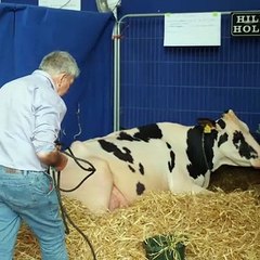 Farmers from Co. Down win ‘The Baileys’