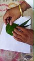 How to draw a parrot with leaves, easy way to draw parrot picture, parrot picture, parrot picture drawing,how to draw parrot,easy drawing