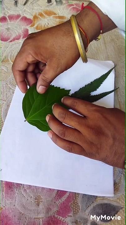 How to draw a parrot with leaves, easy way to draw parrot picture, parrot picture, parrot picture drawing,how to draw parrot,easy drawing