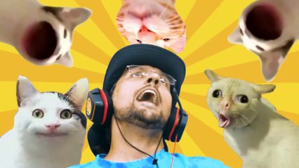 I'm a Cat ... Meow! (STRAY plays FGTeeV)