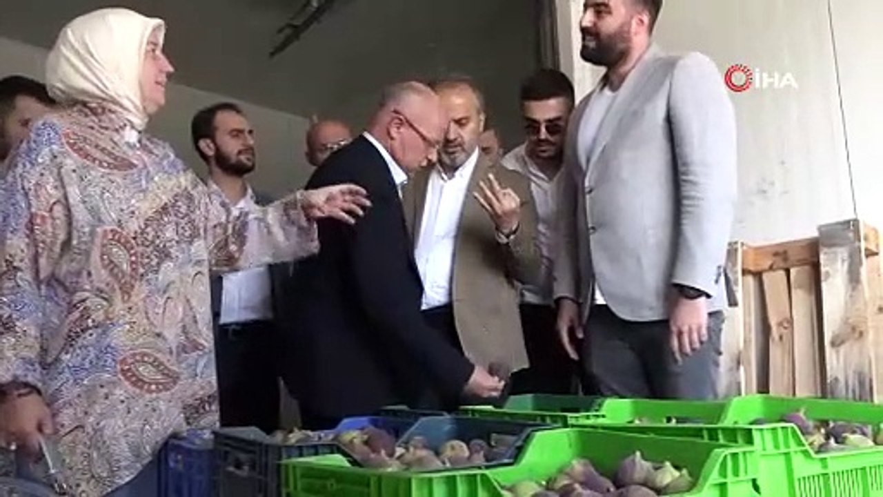 İncir üreticisine can suyu