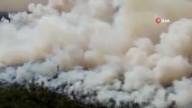 Son dakika haberi | Rusya'nın Ryazan bölgesindeki orman yangını 19 bin 280 hektarlık alana yayıldı