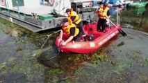 El desastre ecológico en el río Oder deja 300 toneladas de peces muertos