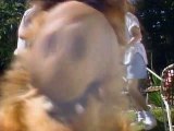 ALF Staffel 2 Folge 26 HD Deutsch