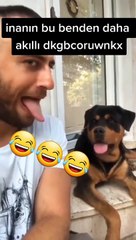 Funny pets  Funniest Animals Videos ❤️