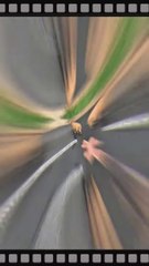 Woman has hilarious reaction after she discovers a herd of cows in her back garden