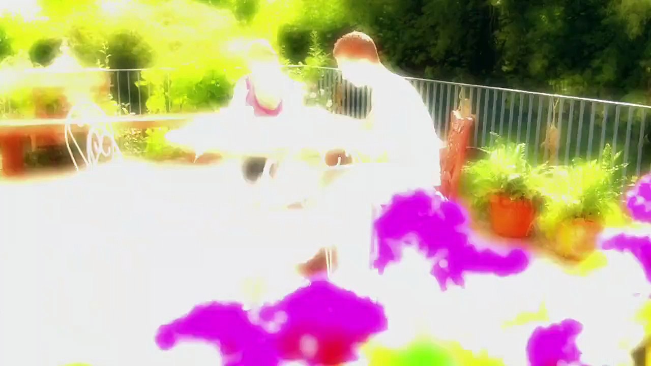 Fluch des Falken Staffel 2 Folge 25 HD Deutsch