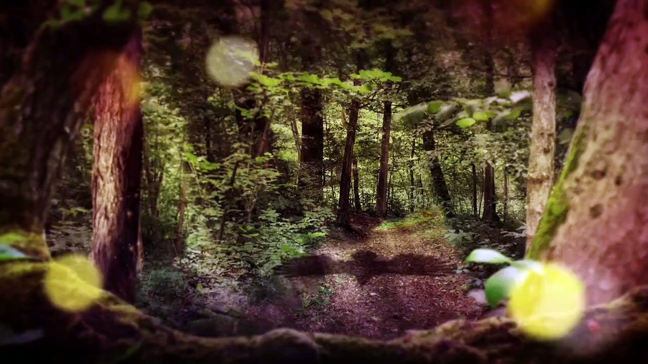 Fluch des Falken Staffel 2 Folge 30 HD Deutsch