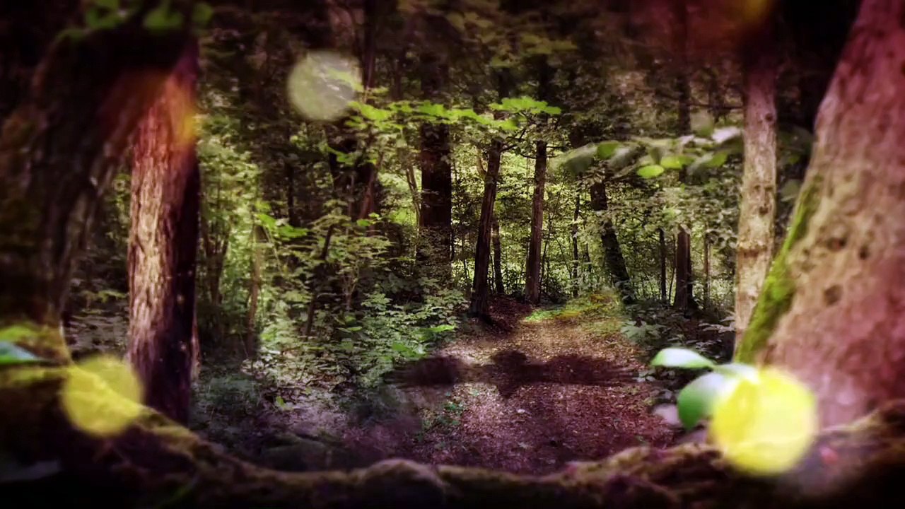 Fluch des Falken Staffel 2 Folge 34 HD Deutsch