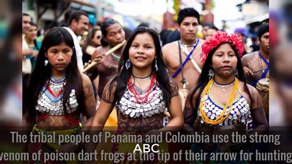 10 Cute Animals That Can Kill You