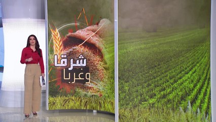 الساعة 60| غذاء العالم أكلته النيران.. الأزمة الأسوأ في الطريق