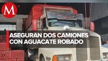 Aseguran una tonelada de aguacate robado en Michoacán