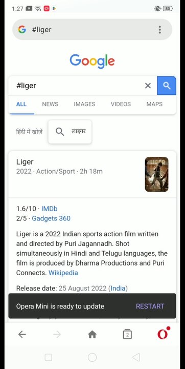 Liger Movie Review in Hindi - Latest Bollywood Movie