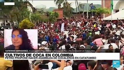 Katerine Hernández: "Una primera asamblea de cocaleros en el Catatumbo sería significativo"