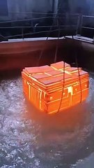 OMG you don't believe what happened