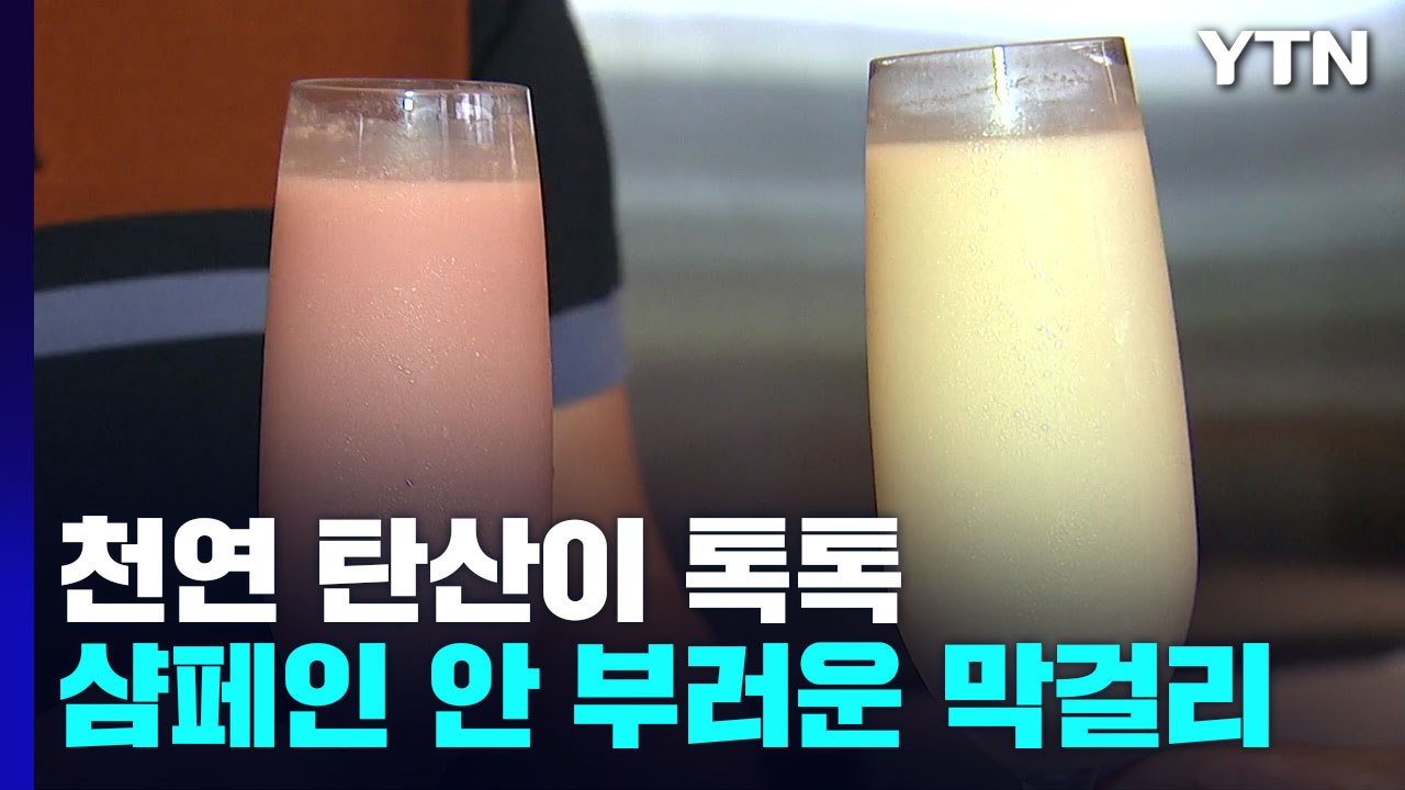 [新농비] 천연 탄산이 톡톡...막걸리, 샴페인 안 부럽다 / YTN