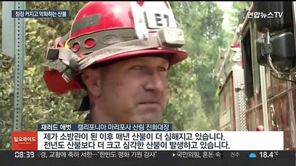 세계 산불 악화…"삼림 소실 20년 전의 두 배"
