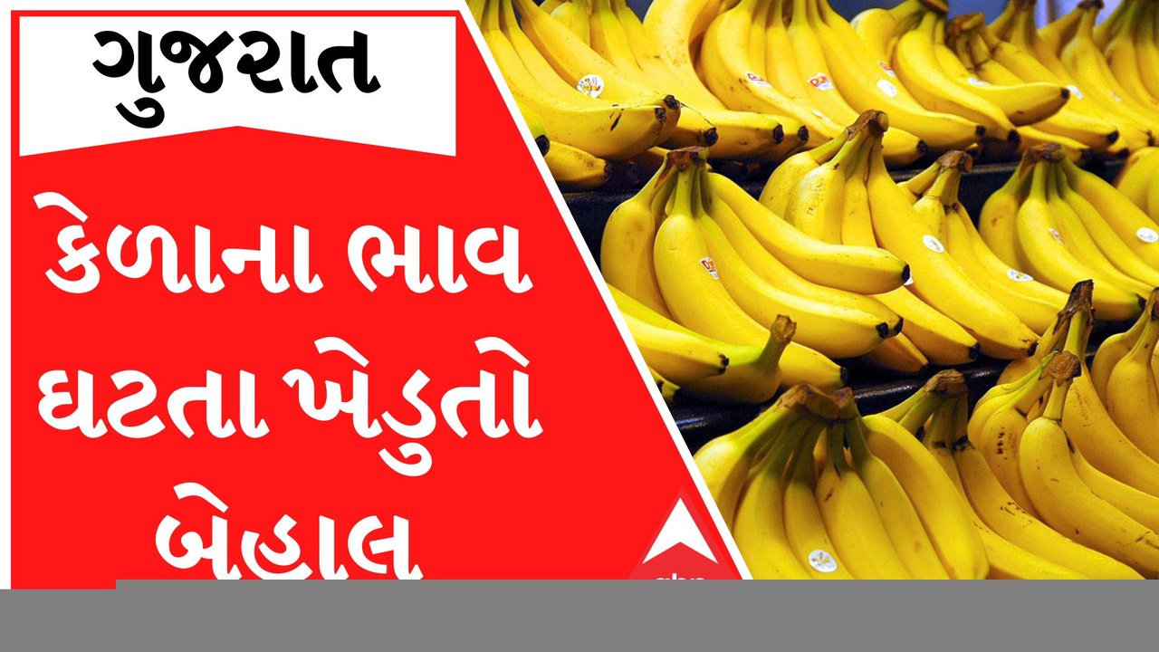 કેળાના ભાવ તળિયે આવી જતા ખેડૂતોની હાલત કફોડી, જુઓ ખેડૂતોએ સરકાર પાસે શું કરી માંગ?