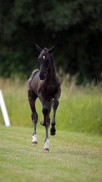 Call me when you want call me when you need