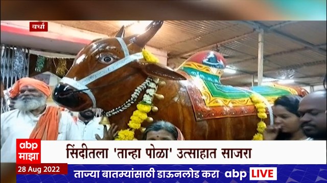 Wardha : सिंदीतील तान्हा पोळा उत्साहात साजरा, लाकडी नंदीबालांची वाजतगाजत मिरवणूक