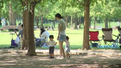 나들이객 가득한 서울숲..."가을 날씨 즐기러" / YTN