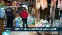Harga Telur Ayam di Pasar Tradisional Mardika Ambon Alami Kenaikan Harga!