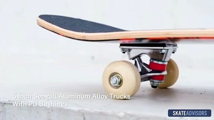 Gonex Standard Skateboard Review - SkateAdvisors