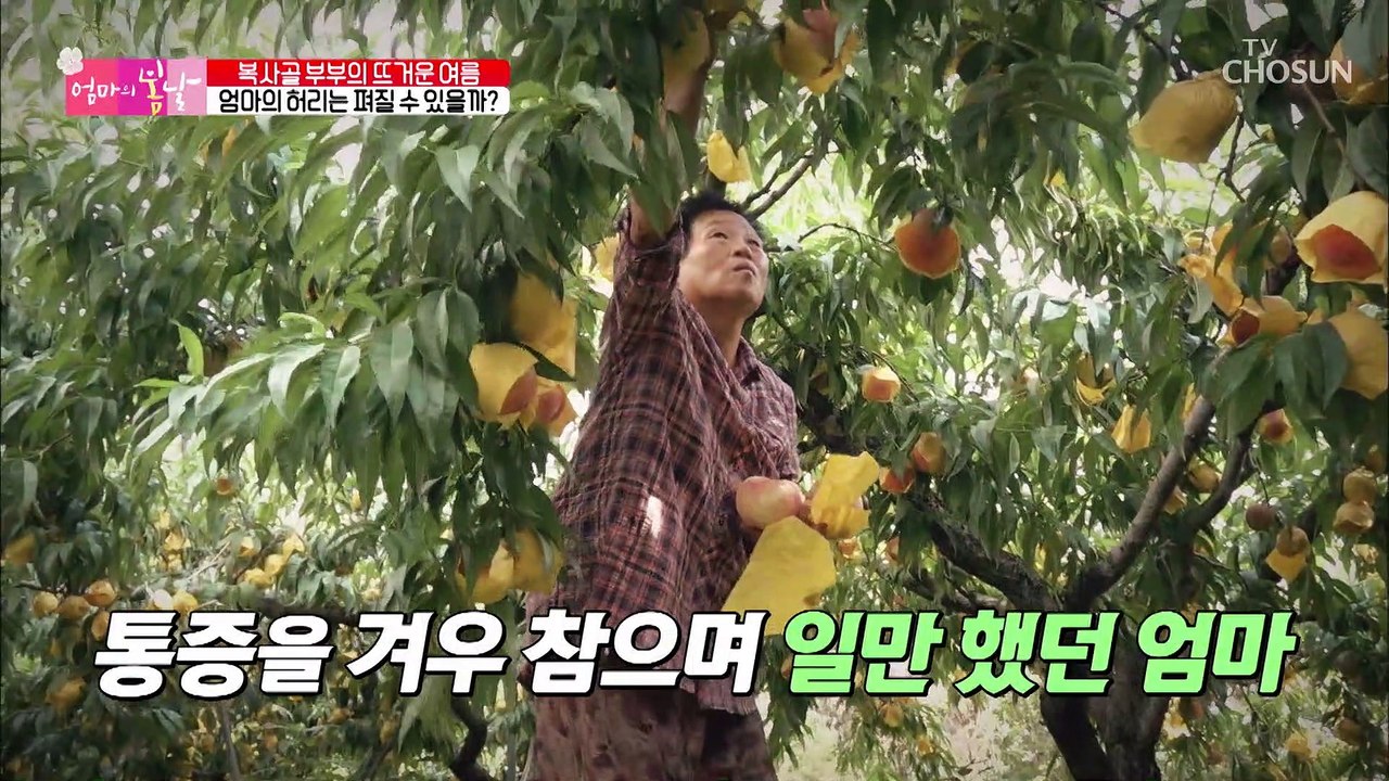 허리 건강과 복사꽃 미소를 되찾은 엄마 TV CHOSUN 20220828 방송