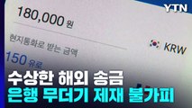 수상한 해외 송금 '눈덩이'...은행 무더기 제재 불가피 / YTN