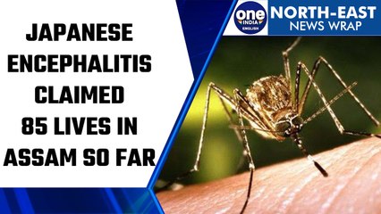 Descargar video: Assam: 85 lives lost to Japanese Encephalitis in last 2 months | Oneindia News *News