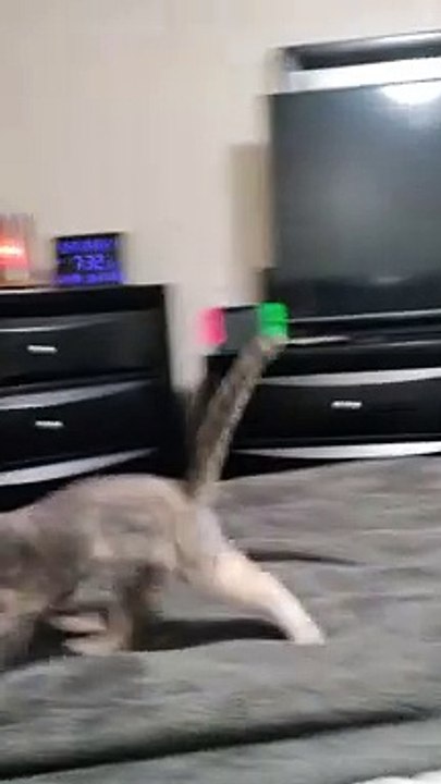 I Know I Can Get It!