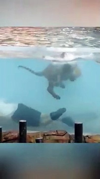 Les piscines les plus dangereuses du monde