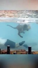 Les piscines les plus dangereuses du monde