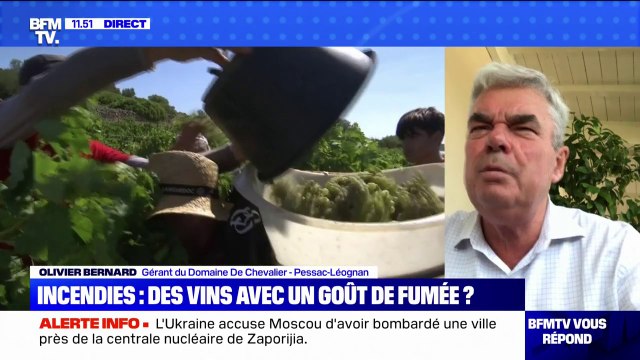 Les incendies vont-ils changer le goût des vins de Bordeaux ? BFMTV répond à vos questions