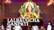 Watch Ganesh Puja At Iconic Lalbaugcha Raja Ganesh Pandal