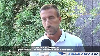 Video News - CONSORZI FORESTALI: OBIETTIVI E FONDI PRECISI
