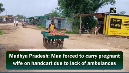 Man forced to carry pregnant wife on handcart due to lack of ambulances in Madhya Pradesh