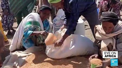 UN ship arrives in Africa with grain for Ethiopia's hungry