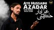 Aye Hussani Azadar | Noha | Syed Ahmed Raza Zaidi | Labaik Labaik